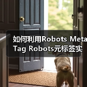 如何利用Robots Meta Tag Robots元标签实现页面抓取控制与禁止索引(图2) 如何利用Robots Meta Tag Robots元标签实现页面抓取控制与禁止索引(图2)