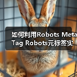 如何利用Robots Meta Tag Robots元标签实现页面抓取控制与禁止索引(图4) 如何利用Robots Meta Tag Robots元标签实现页面抓取控制与禁止索引(图4)