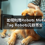 如何利用Robots Meta Tag Robots元标签实现页面抓取控制与禁止索引(图1) 如何利用Robots Meta Tag Robots元标签实现页面抓取控制与禁止索引(图1)
