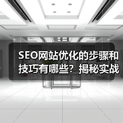 SEO网站优化的步骤和技巧有哪些？揭秘实战中的奥秘！（图4）