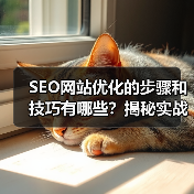 SEO网站优化的步骤和技巧有哪些？揭秘实战中的奥秘！（图1）