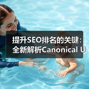 提升SEO排名的关键：全新解析Canonical URL实施技巧（图2）