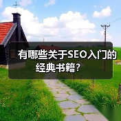 有哪些关于SEO入门的经典书籍？（图4）