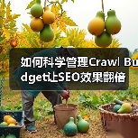 如何科学管理Crawl Budget让SEO效果翻倍(图4) 如何科学管理Crawl Budget让SEO效果翻倍(图4)