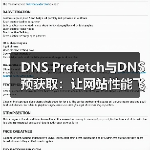 DNS Prefetch与DNS预获取:让网站性能飞跃的秘密武器(图2) DNS Prefetch与DNS预获取:让网站性能飞跃的秘密武器(图2)