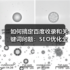 如何搞定百度收录和关键词问题:SEO优化全攻略(图2) 如何搞定百度收录和关键词问题:SEO优化全攻略(图2)