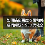 如何搞定百度收录和关键词问题：SEO优化全攻略