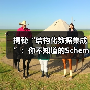揭秘“结构化数据集成”：你不知道的Schema标记与富媒体变革（图4）