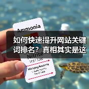 如何快速提升网站关键词排名?真相其实是这样!(图4) 如何快速提升网站关键词排名?真相其实是这样!(图4)
