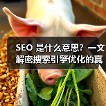SEO 是什么意思？一文解密搜索引擎优化的真正含义