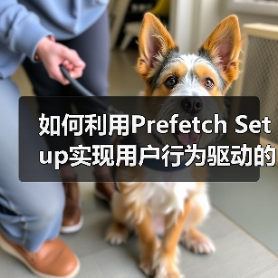 如何利用Prefetch Setup实现用户行为驱动的预测性加载（图3）