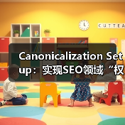 Canonicalization Setup：实现SEO领域“权威版本”的关键秘诀（图3）