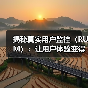 揭秘真实用户监控（RUM）：让用户体验变得更极致（图2）