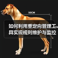 如何利用重定向管理工具实现规则维护与监控的完美结合(图1) 如何利用重定向管理工具实现规则维护与监控的完美结合(图1)