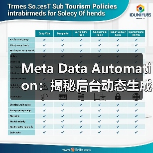Meta Data Automation：揭秘后台动态生成的未来趋势（图3）
