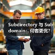 Subdirectory 与 Subdomain:何者更优?深度解析国际结构与权重分配(图3) Subdirectory 与 Subdomain:何者更优?深度解析国际结构与权重分配(图3)