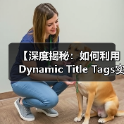 【深度揭秘：如何利用Dynamic Title Tags实现个性化内容优化】（图1）
