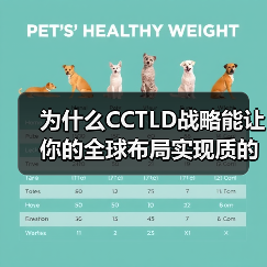 为什么CCTLD战略能让你的全球布局实现质的飞跃?(图3) 为什么CCTLD战略能让你的全球布局实现质的飞跃?(图3)