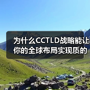 为什么CCTLD战略能让你的全球布局实现质的飞跃?(图2) 为什么CCTLD战略能让你的全球布局实现质的飞跃?(图2)