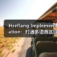 Hreflang Implementation:打通多语言区域的精准通路(图1) Hreflang Implementation:打通多语言区域的精准通路(图1)