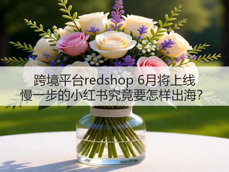 跨境平台redshop 6月将上线 慢一步的小红书究竟要怎样出海？(图2)