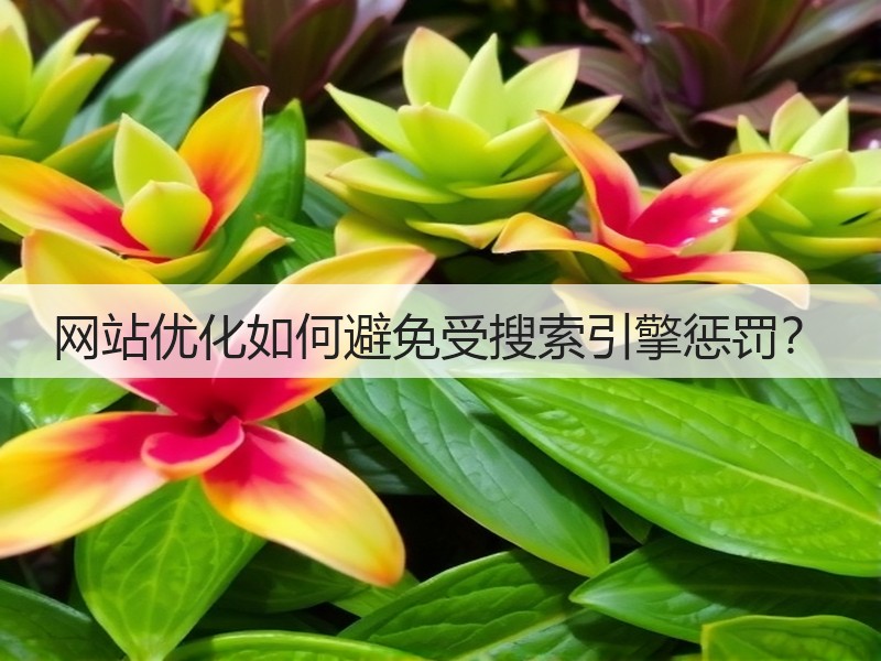 网站优化如何避免受搜索引擎惩罚?(图3) 网站优化如何避免受搜索引擎惩罚?(图3)