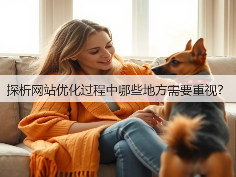 探析网站优化过程中哪些地方需要重视？