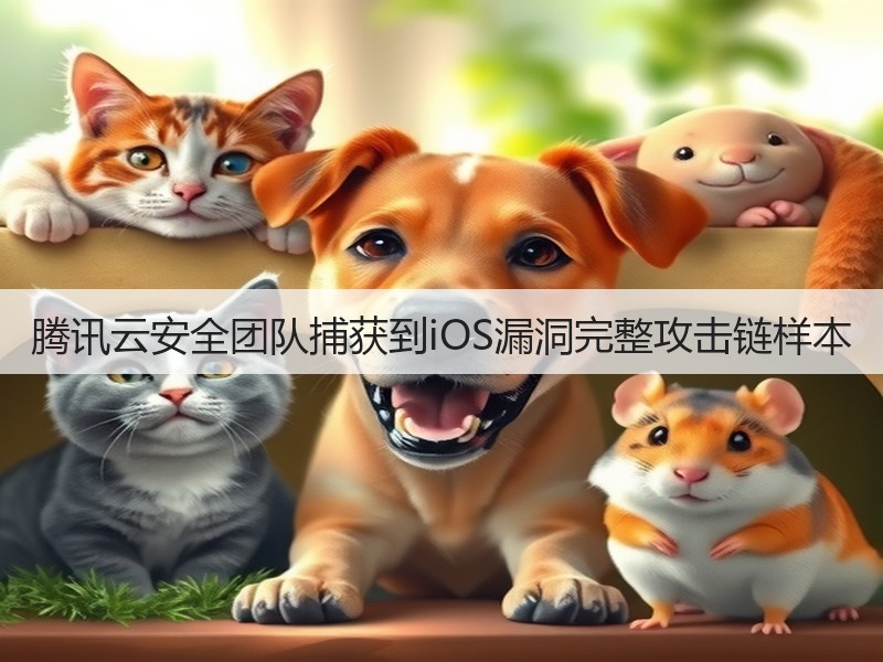 腾讯云安全团队捕获到iOS漏洞完整攻击链样本(图2) 腾讯云安全团队捕获到iOS漏洞完整攻击链样本(图2)