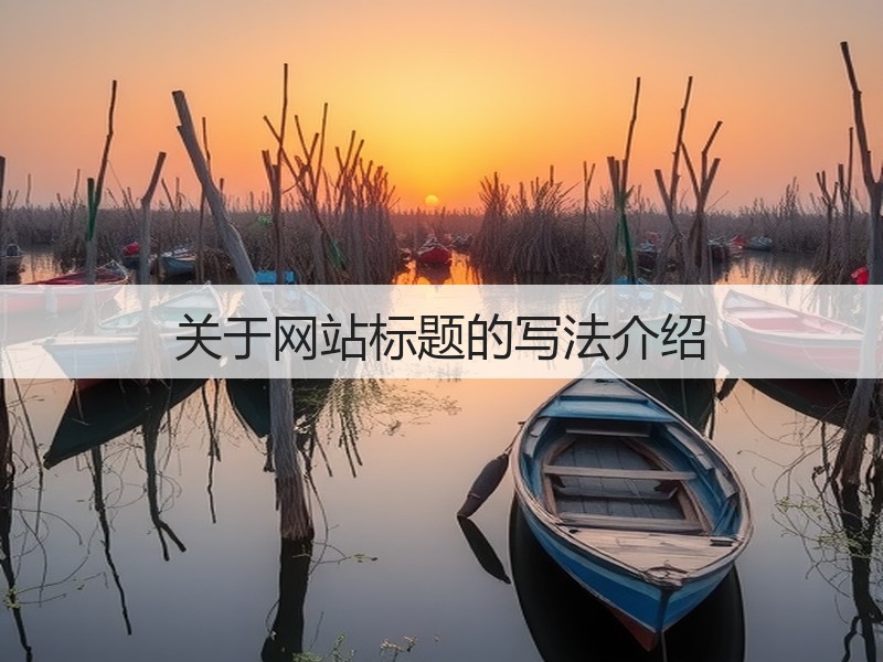 关于网站标题的写法介绍(图3) 关于网站标题的写法介绍(图3)