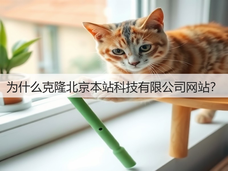 为什么克隆北京本站科技有限公司网站?(图1) 为什么克隆北京本站科技有限公司网站?(图1)