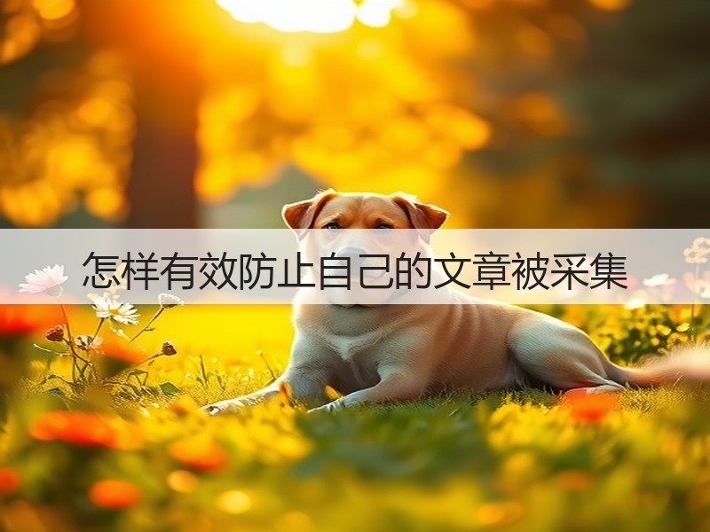 怎样有效防止自己的文章被采集(图1) 怎样有效防止自己的文章被采集(图1)