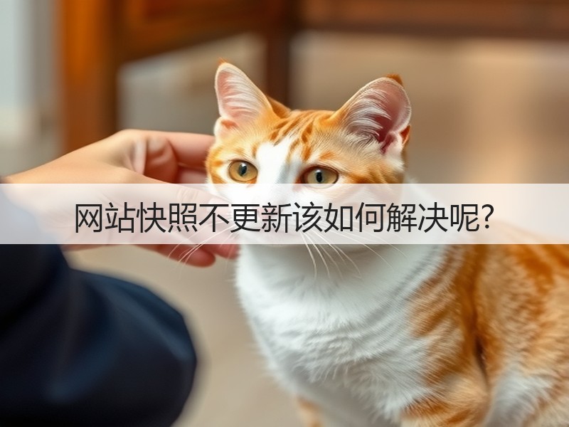 网站快照不更新该如何解决呢?(图3)
