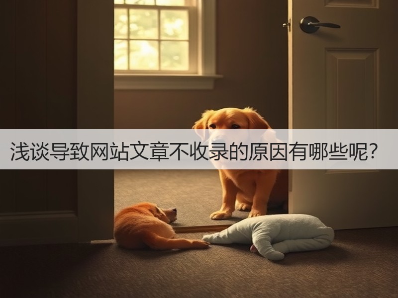 浅谈导致网站文章不收录的原因有哪些呢？(图2)