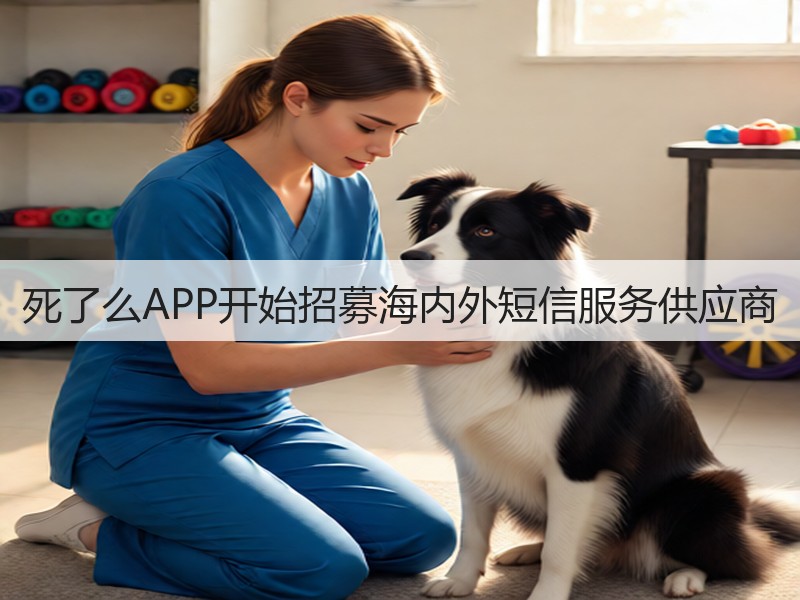 死了么APP开始招募海内外短信服务供应商(图3)