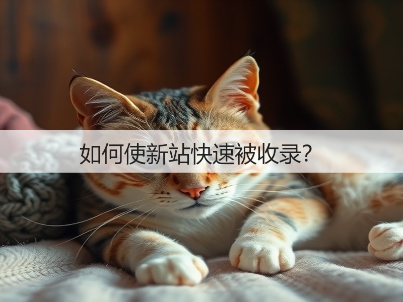 如何使新站快速被收录?(图3) 如何使新站快速被收录?(图3)