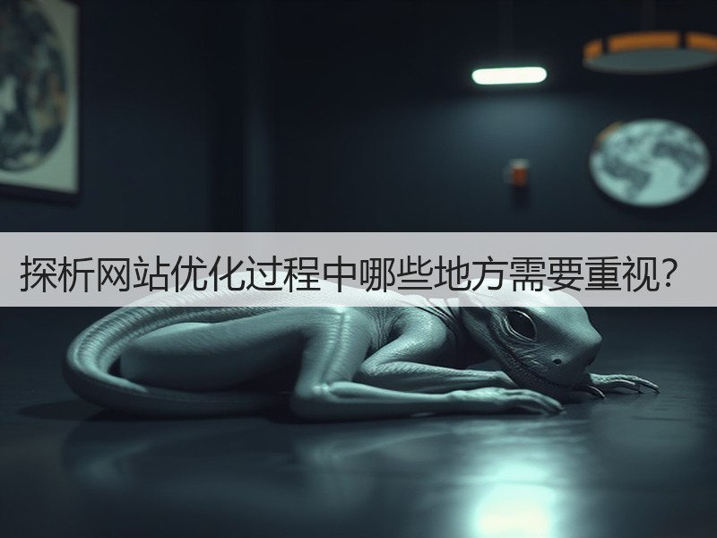 探析网站优化过程中哪些地方需要重视?(图2) 探析网站优化过程中哪些地方需要重视?(图2)