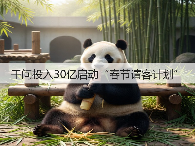 千问投入30亿启动“春节请客计划”(图3)