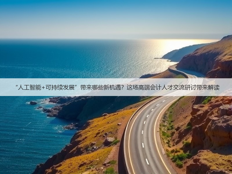 “人工智能+可持续发展”带来哪些新机遇？这场高端会计人才交流研讨带来解读(图3)