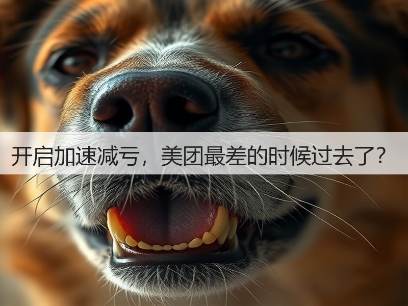 开启加速减亏,美团最差的时候过去了?(图3) 开启加速减亏,美团最差的时候过去了?(图3)
