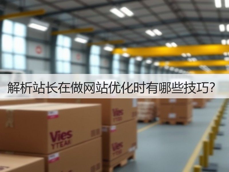 解析站长在做网站优化时有哪些技巧？(图2)