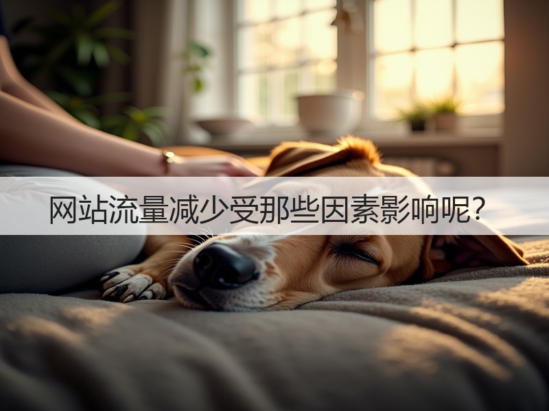 网站流量减少受那些因素影响呢？(图1)