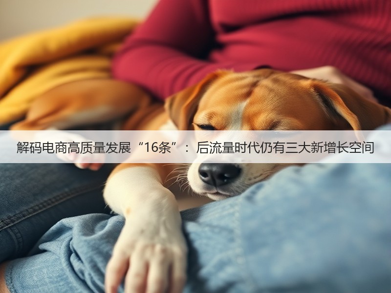 解码电商高质量发展“16条”：后流量时代仍有三大新增长空间(图3)