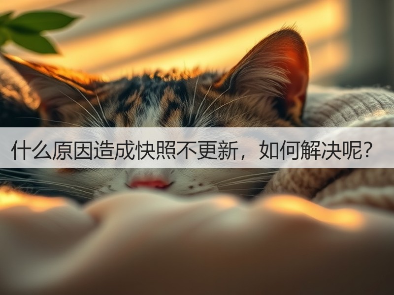 什么原因造成快照不更新，如何解决呢？(图2)