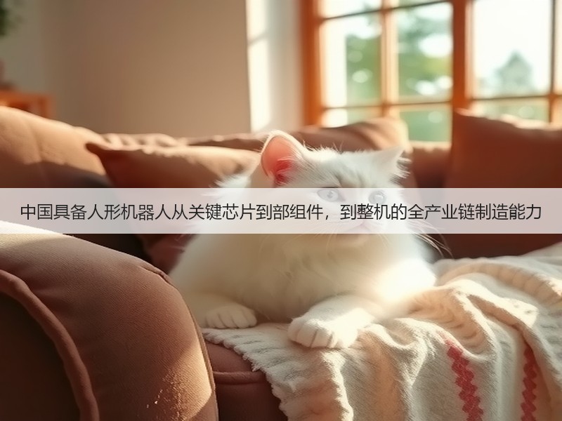 中国具备人形机器人从关键芯片到部组件,到整机的全产业链制造能力(图3) 中国具备人形机器人从关键芯片到部组件,到整机的全产业链制造能力(图3)