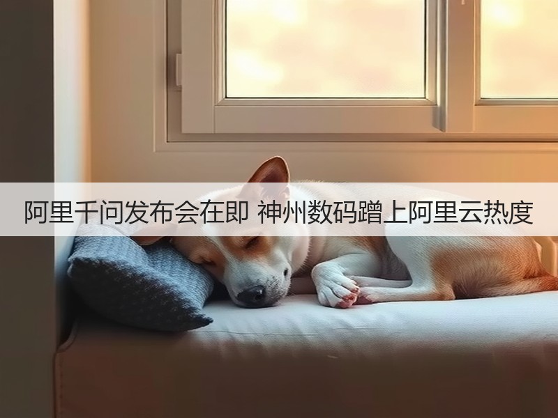 阿里千问发布会在即 神州数码蹭上阿里云热度(图3)