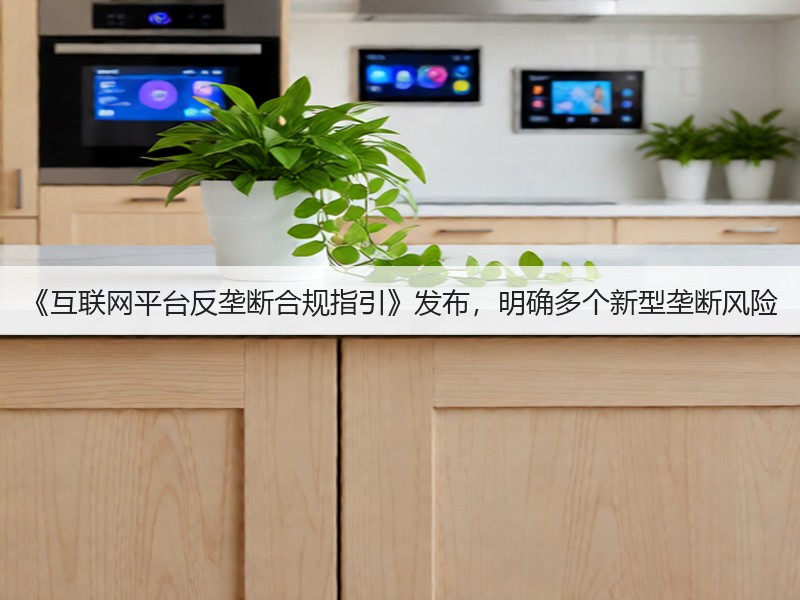 《互联网平台反垄断合规指引》发布，明确多个新型垄断风险(图3)