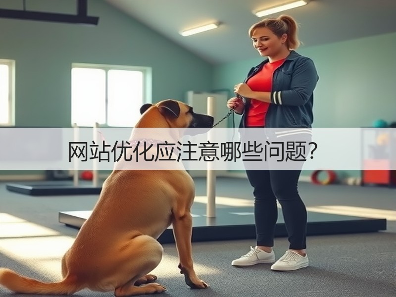 网站优化应注意哪些问题?(图3) 网站优化应注意哪些问题?(图3)