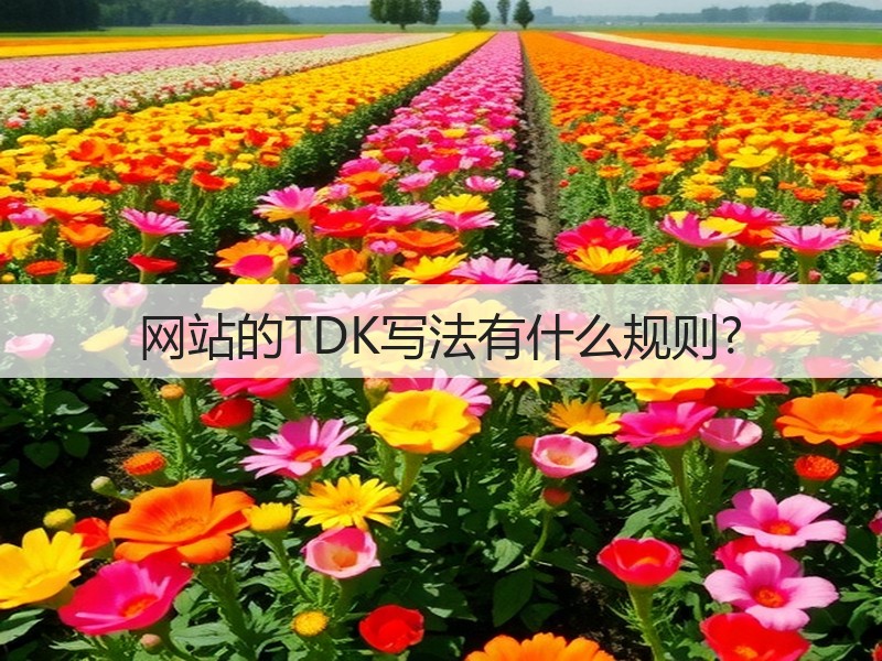 网站的TDK写法有什么规则?(图2) 网站的TDK写法有什么规则?(图2)