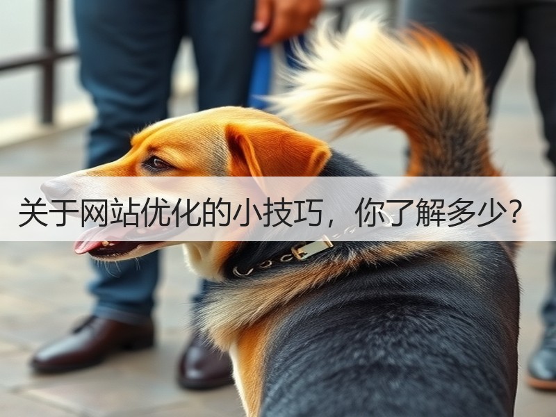 关于网站优化的小技巧，你了解多少？