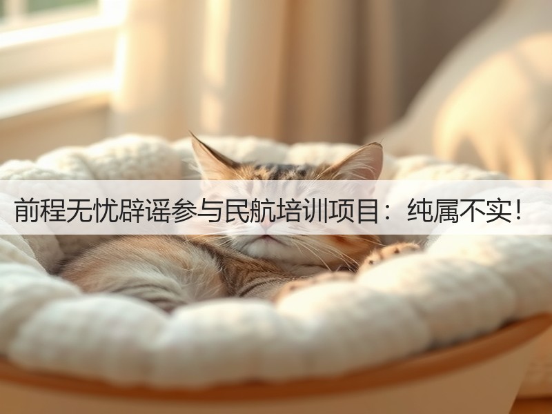 前程无忧辟谣参与民航培训项目:纯属不实!(图2) 前程无忧辟谣参与民航培训项目:纯属不实!(图2)